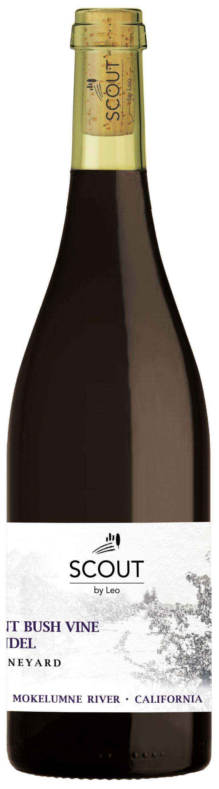 SCOUT by Leo  ANCIENT BUSH VINE ZINFANDEL 14% 75 cl.